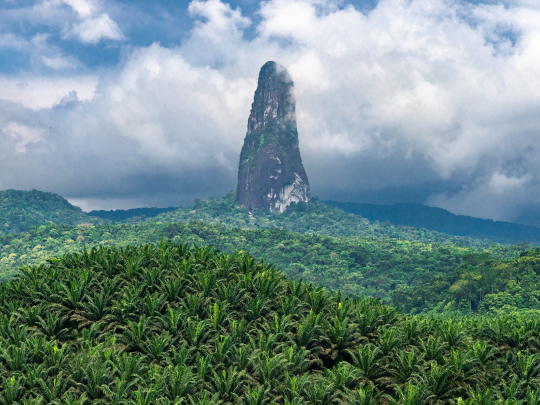 Knihovna na cestách: São Tomé e Príncipe