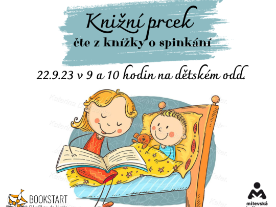 Knižní prcek