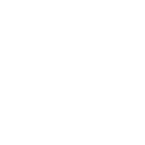 f2b0469c-ico-home-4.png